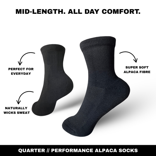 Quarter Socks