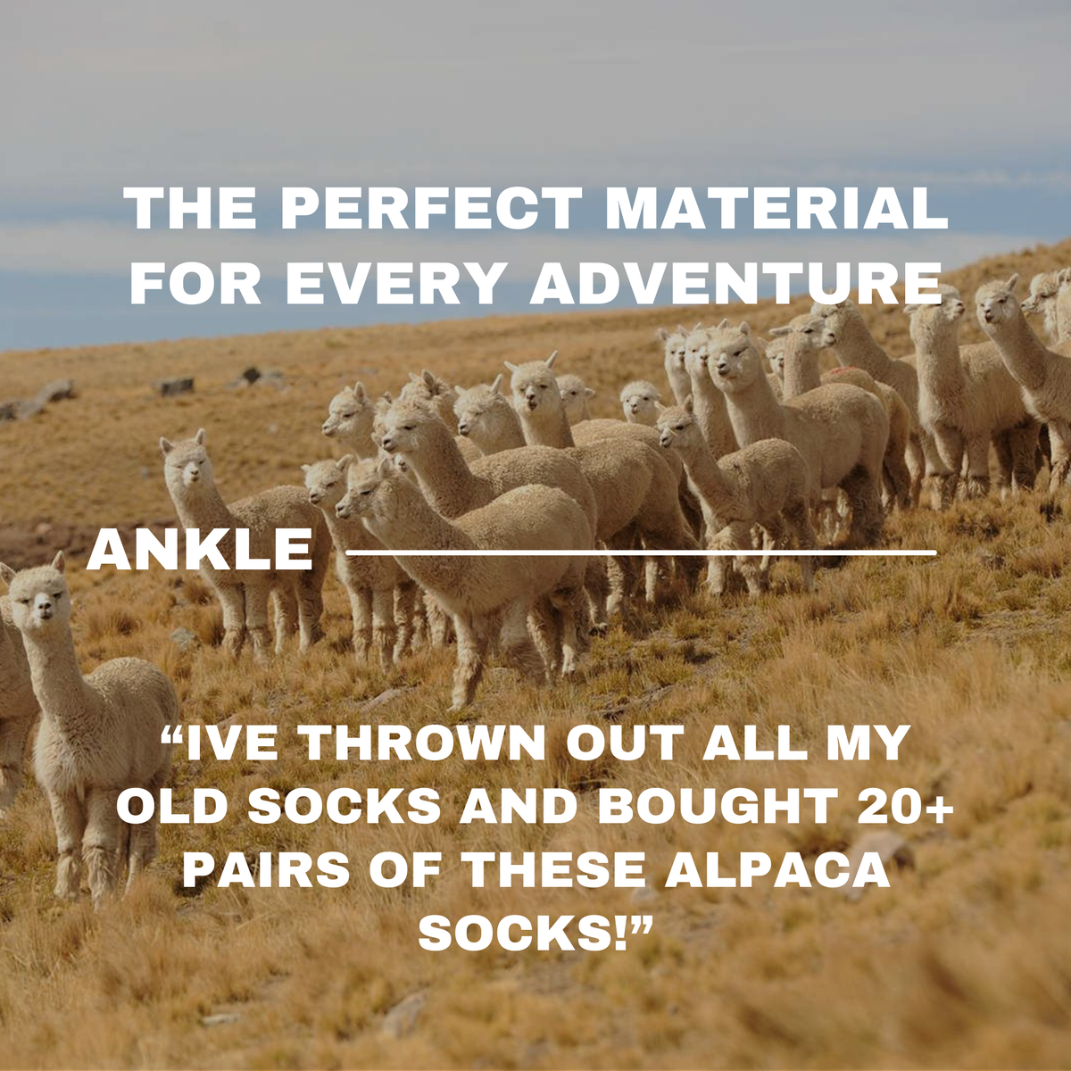Ankle Socks
